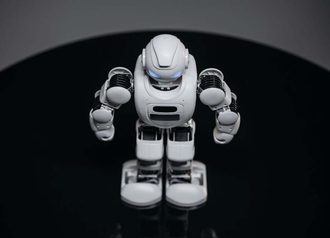 humanoid robot luggage
