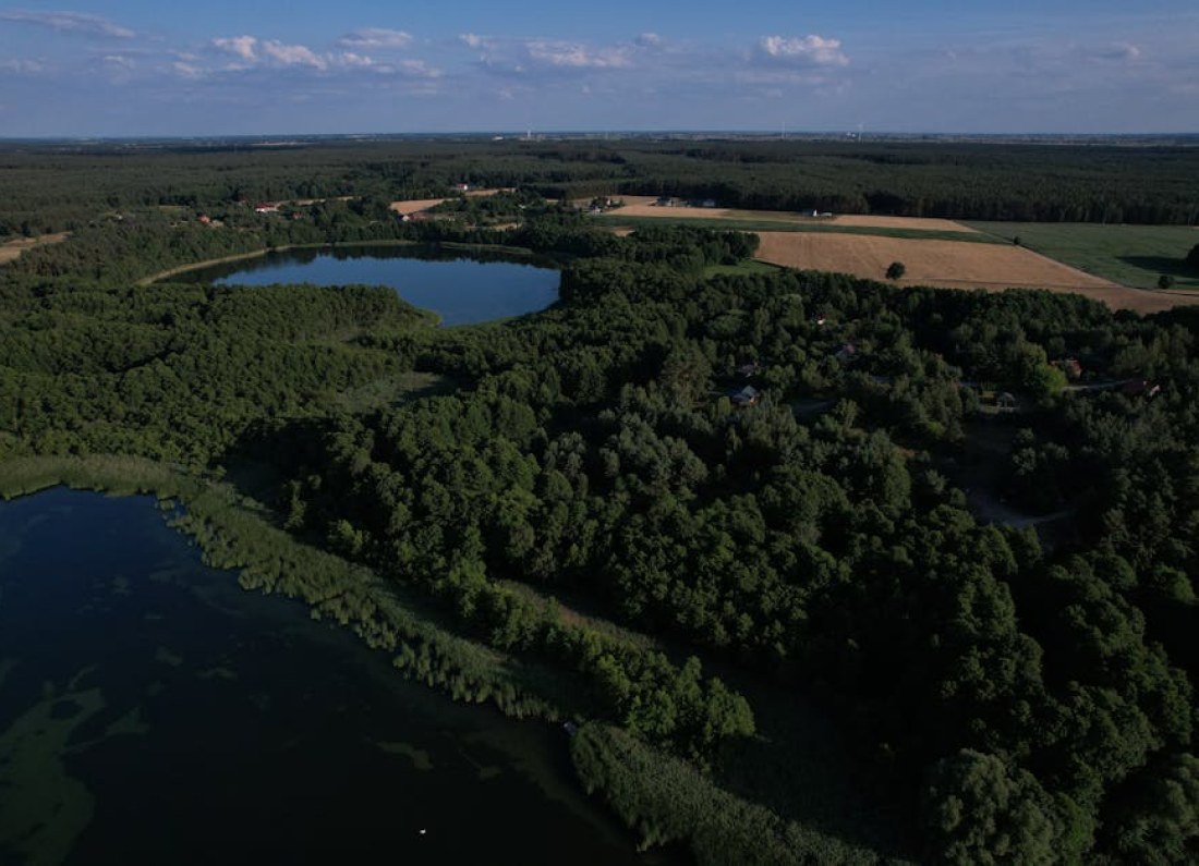 lake forest Wielkopolska