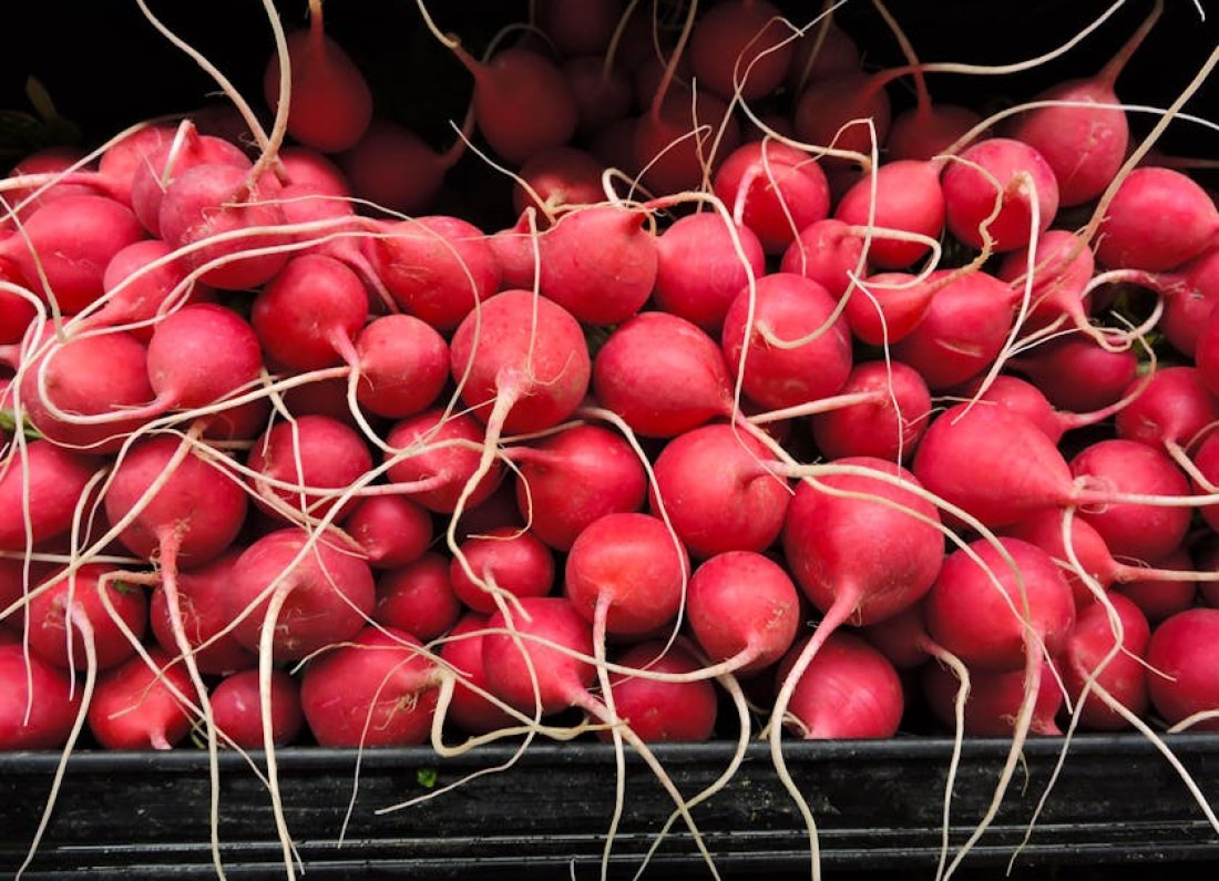 radish health benefits