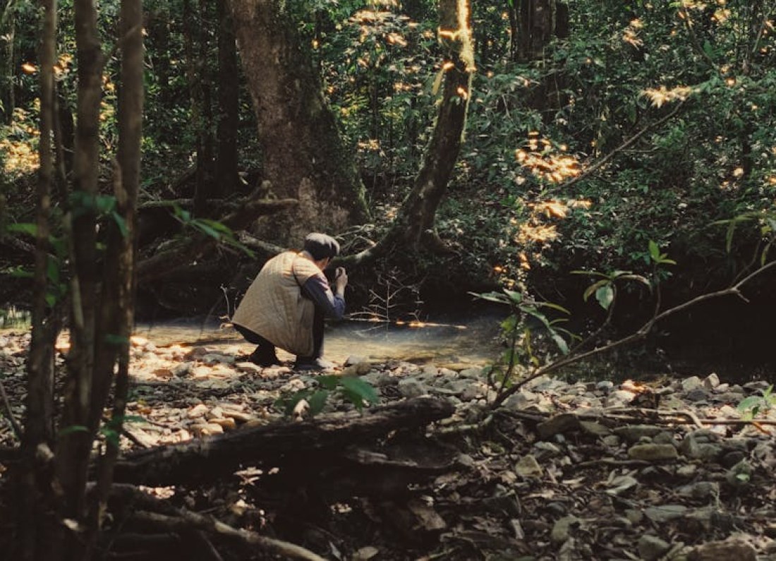David Attenborough nature documentary