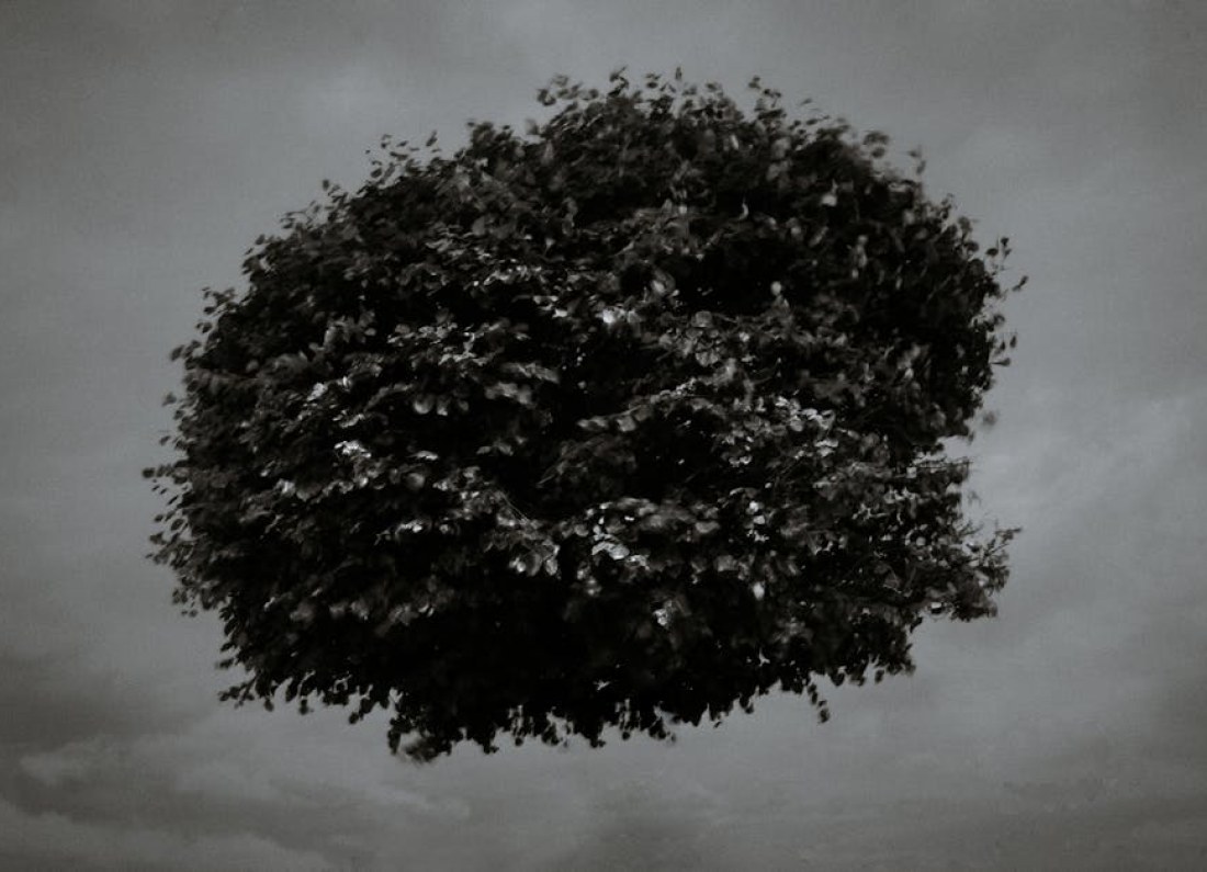 dark surreal game art