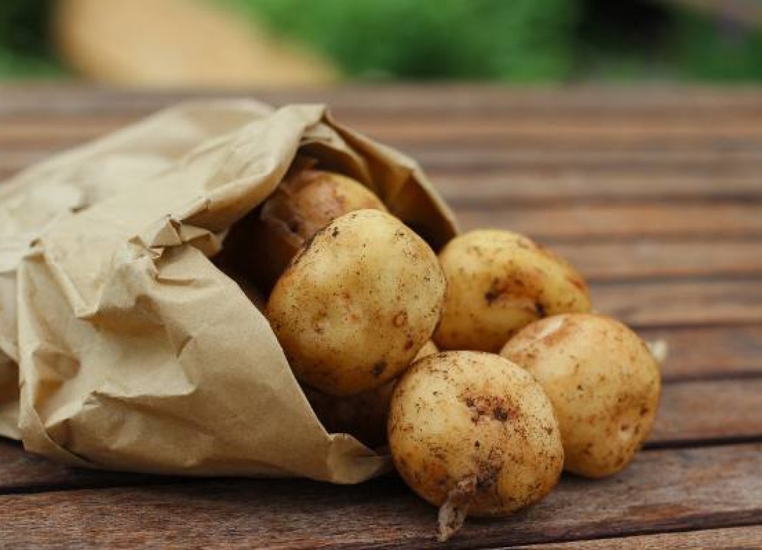 healthy potatoes bowl