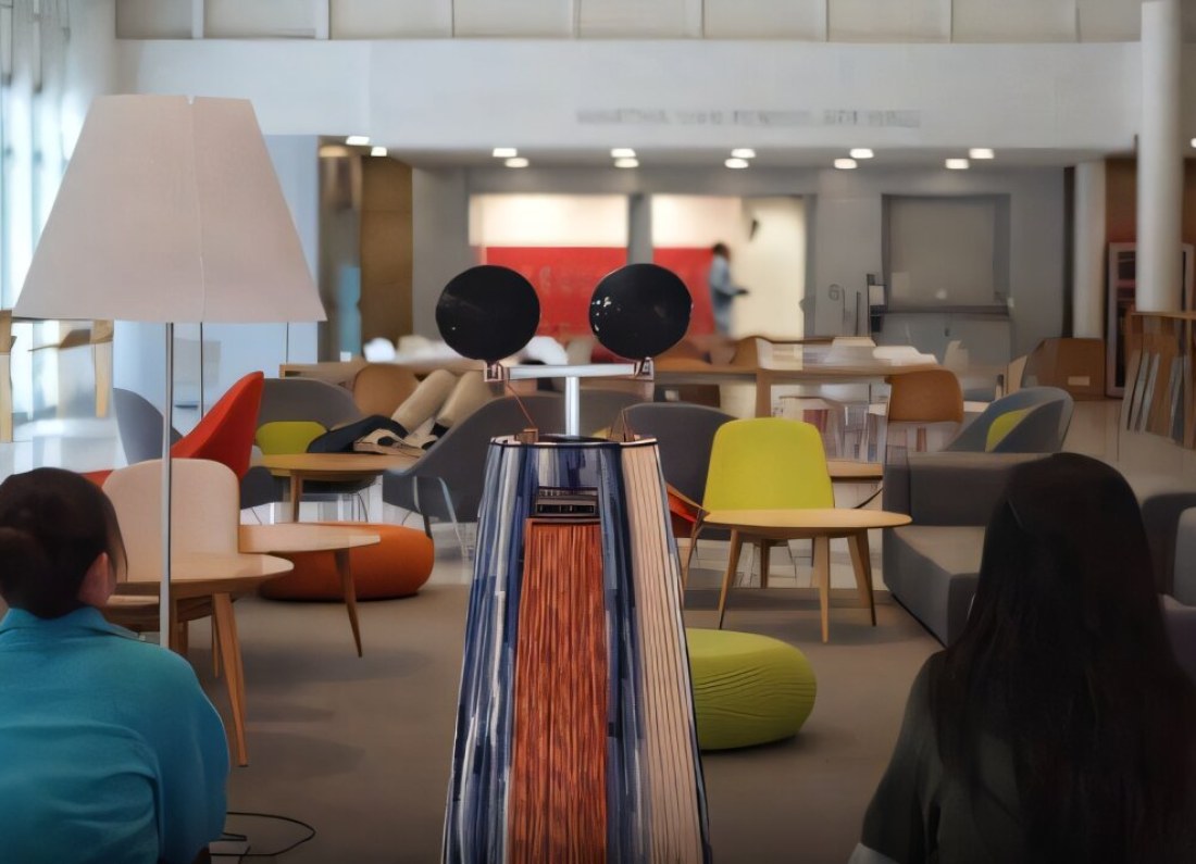 social robot interaction