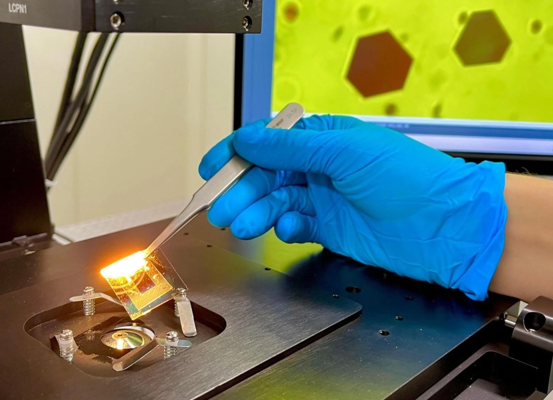 gold flakes microscope