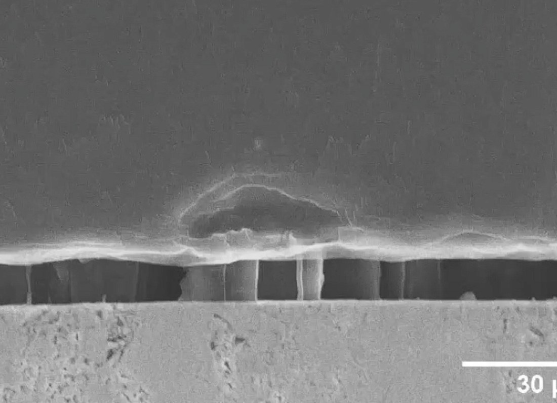 battery dendrites microscope