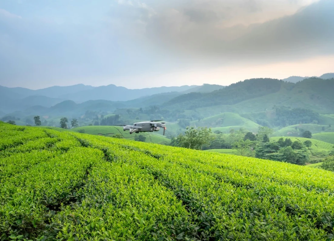 farmer using tablet in field