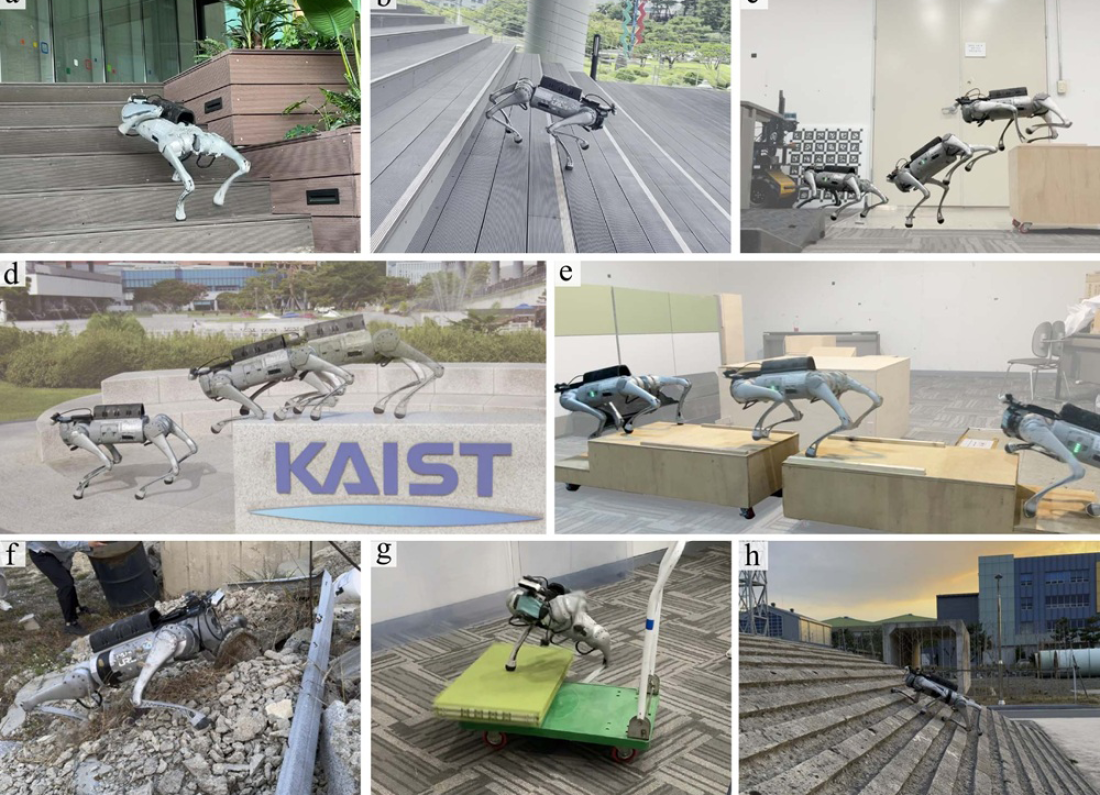 quadruped robot running