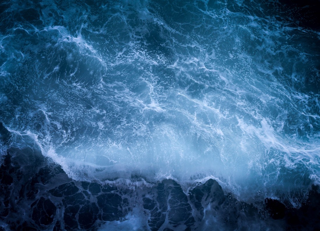 Earth gravity anomaly map