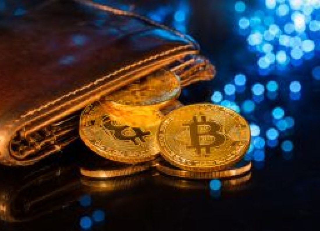 crypto wallet hardware