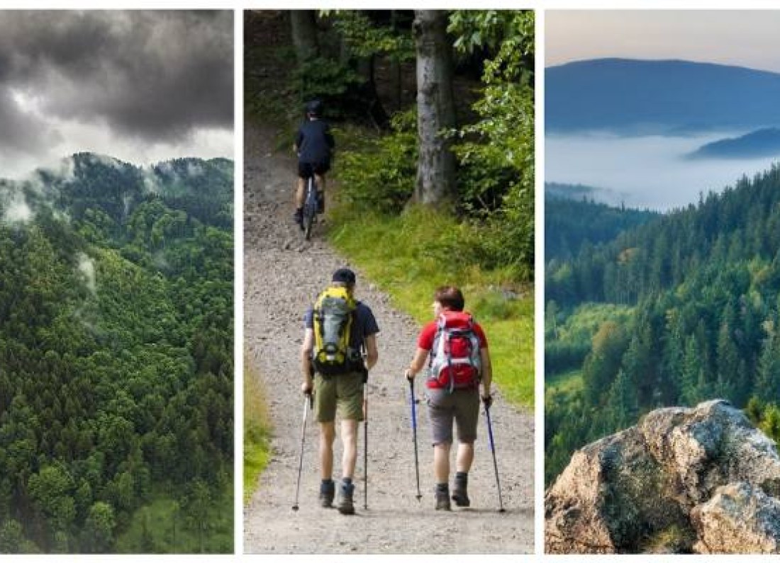 mountain spring hike