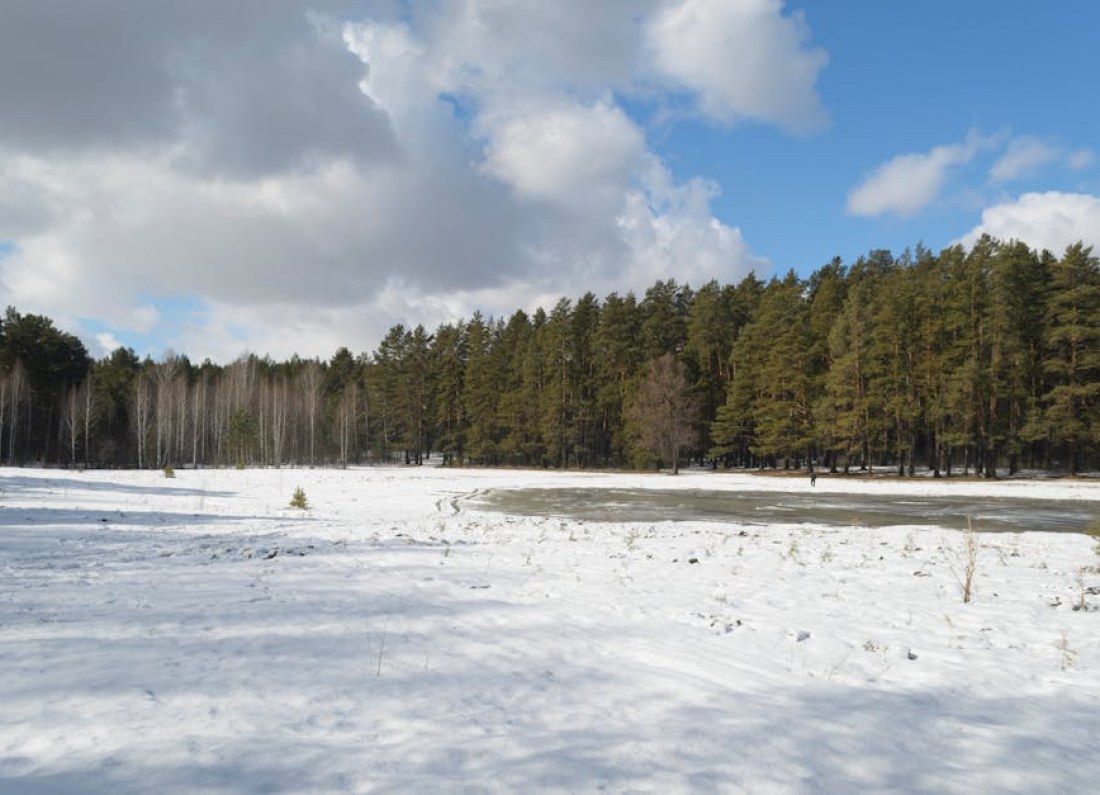 cold spring landscape