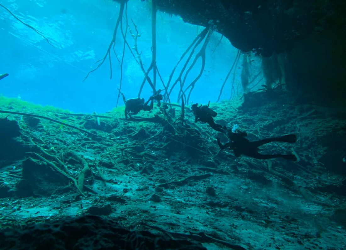 subnautica underwater exploration