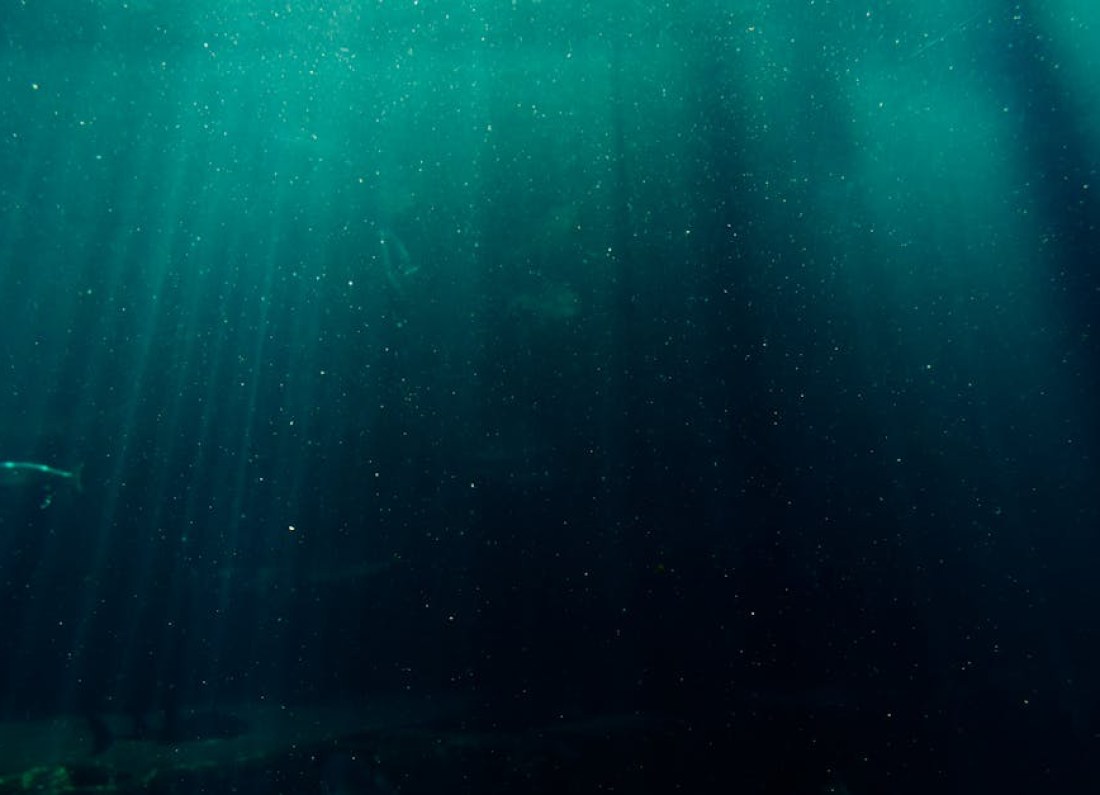 Subnautica 2 underwater
