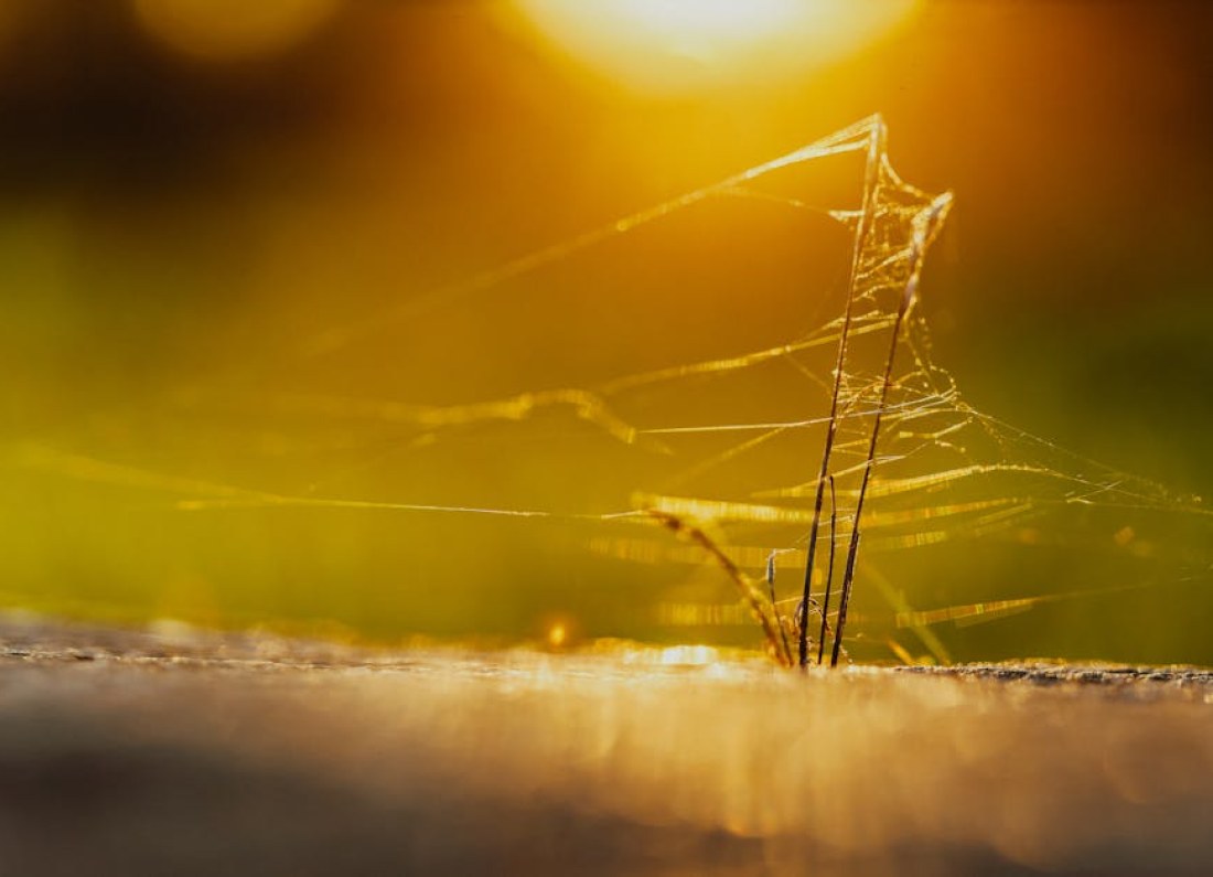 light trapped nanostructure