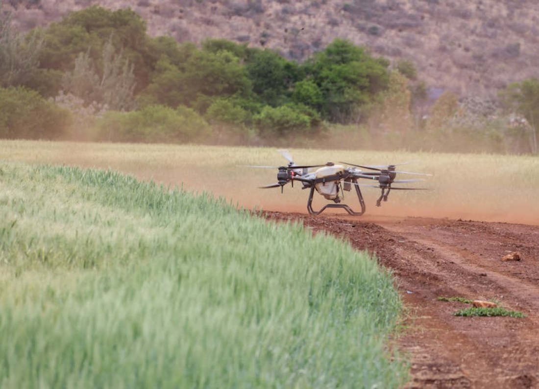 robot farming field