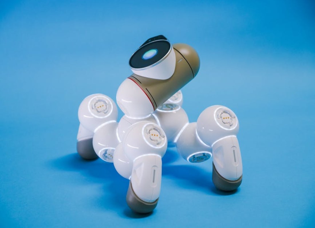 robot companion future technology